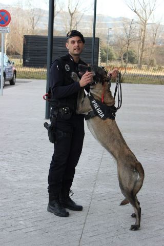 Patrulla Canina Collado Mediano