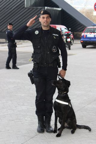 Patrulla Canina Collado Mediano