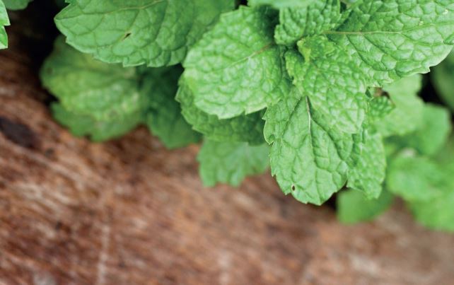 Tabulé de verduras y menta