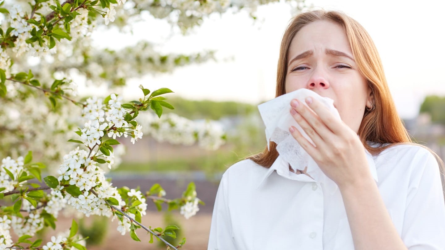 Las gramíneas y el olivo son los principales responsables de las alergias respiratorias en esta época del año